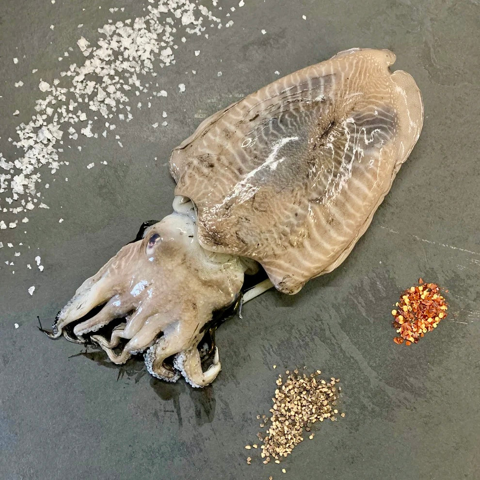 Seepia Algarve stiilis | ABC+